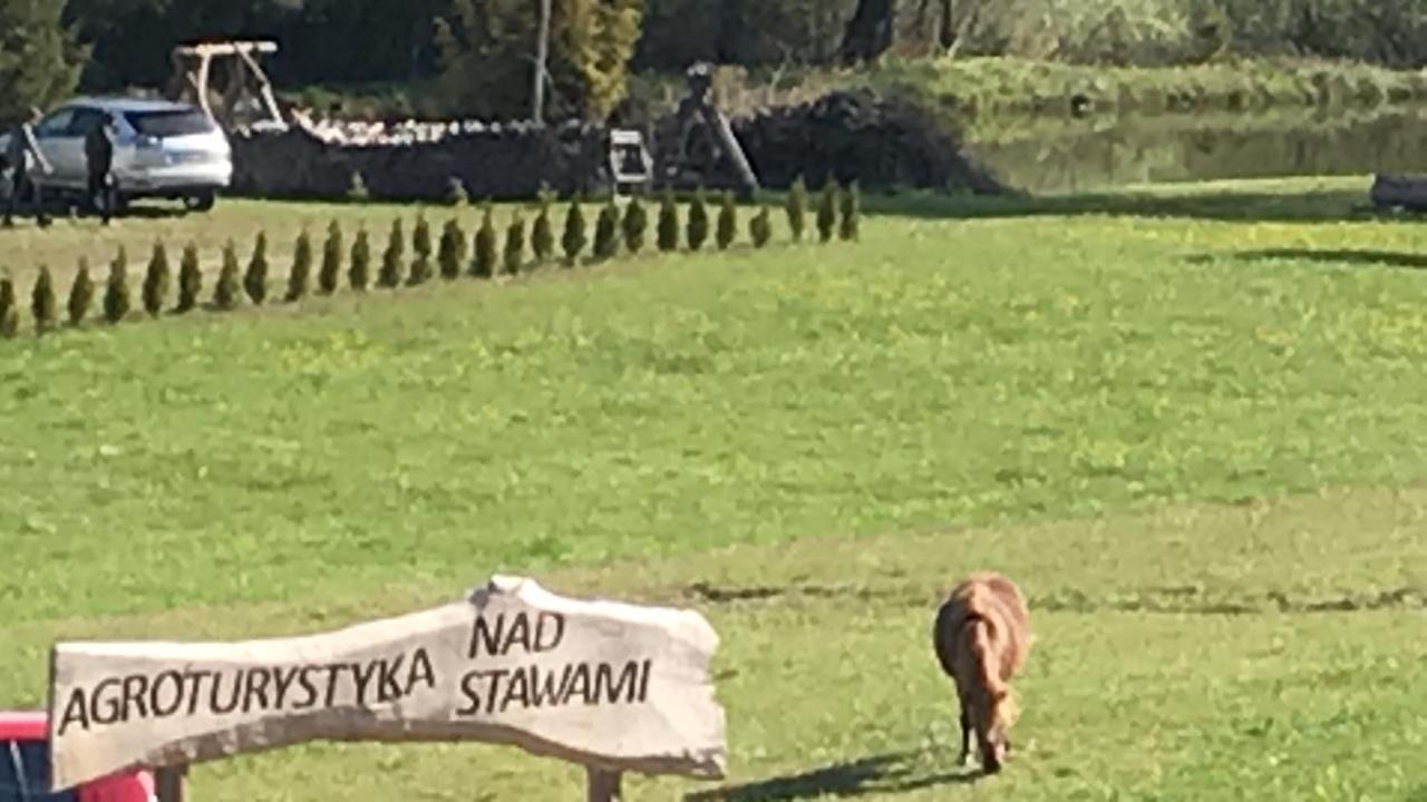 Agroturystyka Nad Stawami Szemud Kültér fotó